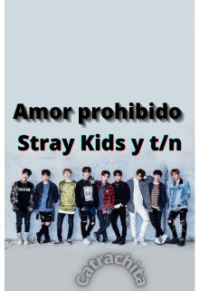 Libro. "Amor prohibido(skz){stray kids y t/n}" Leer online