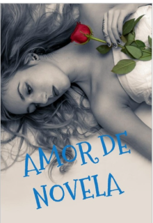 Un Amor de novela