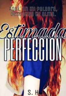 Estimada perfección (parte 2)