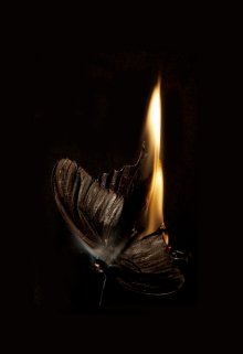 Libro. "Perdedora" Leer online