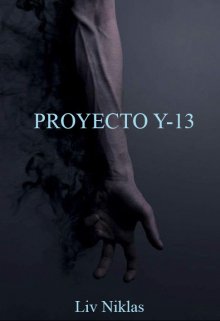 Proyecto Y-13