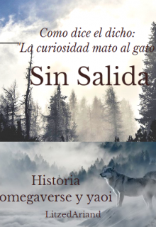 Sin Salida