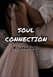 Book. "Soul Connection" read online