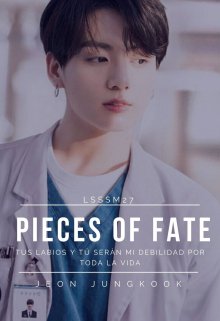 Libro. "Pieces of Fate || Jeon Jungkook" Leer online