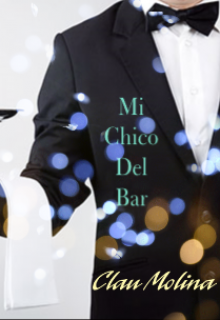 Mi chico del bar