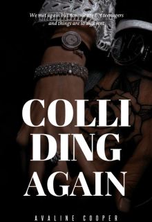 Book. "Colliding Again" read online
