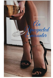 Book. "An Unexpected Encounter " read online