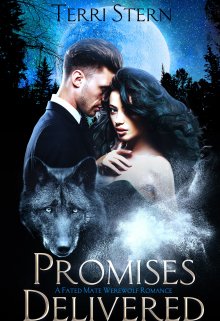 Book. "Promises Delivered " read online