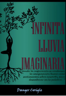 Libro. "Infinita Lluvia Imaginaria" Leer online