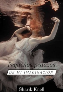 Libro. "Pequeños pedazos de mi imaginación " Leer online