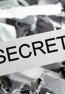 Libro. "Secretos " Leer online