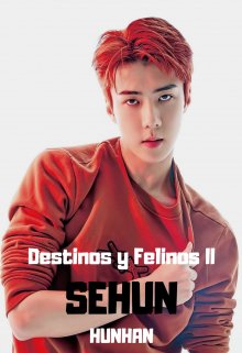 Libro. "02 Sehun-Hunhan" Leer online
