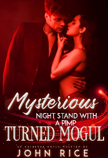 Book. "Mysterious Night Stand With A Pimp Turned Mogul " read online
