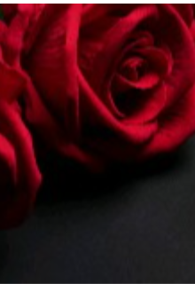 Book. "Blooming Rose" read online