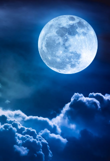 Libro. "El Brillo De La Luna " Leer online