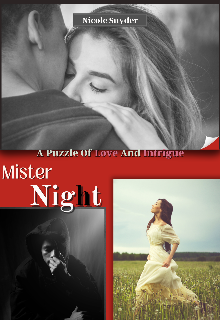 Book. "Mister Night " read online