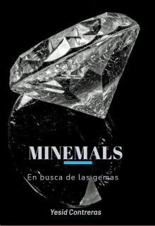 Minemals "En busca de las gemas"