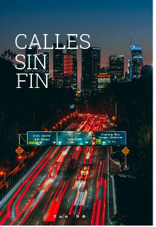 Libro. "Calles Sin Fin " Leer online