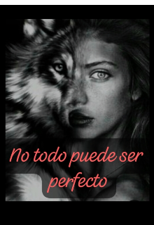 No todo debe ser perfecto 