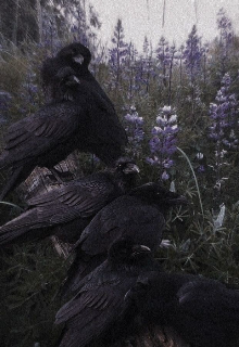 El gran bosque de los cuervos