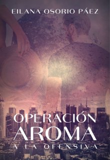 Operación Aroma - A la ofensiva