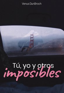 Tú, yo y otros imposibles 