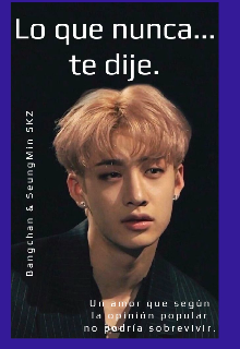 Lo que nunca te dije Chanmin Skz 