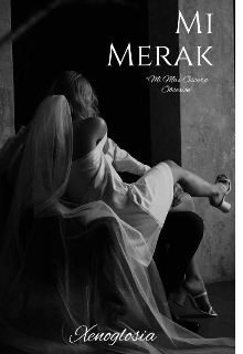 Mi Merak 