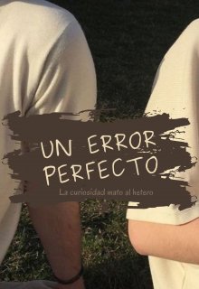 Un error perfecto (la curiosidad mato al hetero)