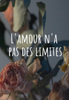 L'amour n'a pas des limites 