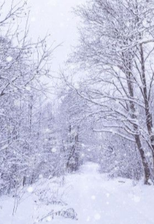 Temporada de invierno 