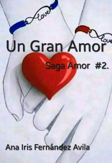 Un Gran Amor. Saga Amor #2.