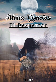 Almas Gemelas: El Despertar.