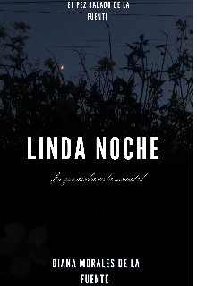 Linda noche 