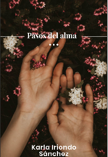 Pasos del alma