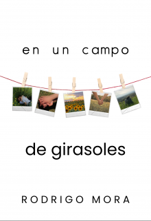 En un campo de girasoles