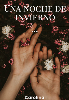 Una noche de invierno 