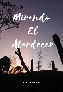 Mirando el atardecer