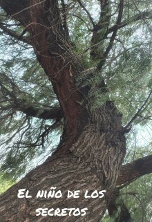 El niño de los secretos