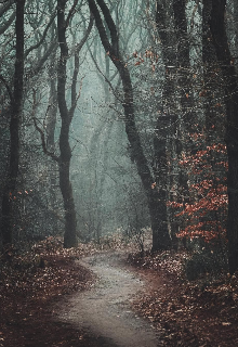 ¡peligro en el bosque!