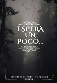 Espera un poco...
