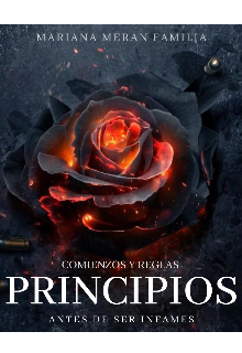 Principios 