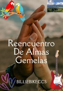 Reencuentro De Almas Gemelas