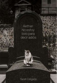 Aether: No estoy listo para decir adiós