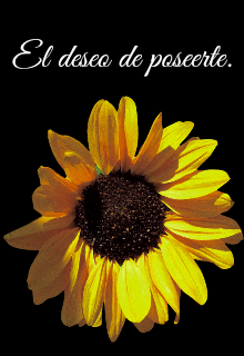 El deseo de poseerte.