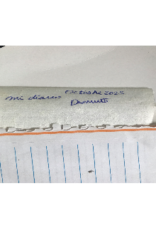 El diario de una persona fracasada.