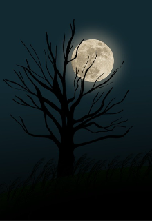 Killari “la Leyenda Del Alcón Negro"