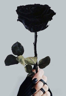 La Rosa Negra