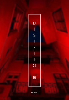 Distrito 13