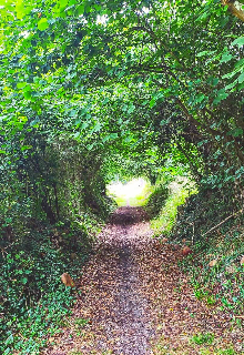 Mi Camino a Santiago 